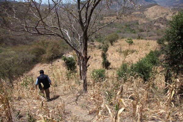 Los pobladores de los municipios del sur de El Paraíso, Francisco Morazán, Valle y Choluteca son los más afectados. LA PRENSA visitó los lugares.