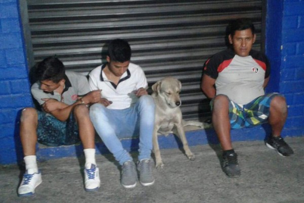 Detienen a un perro y tres jóvenes por supuesto robo en México