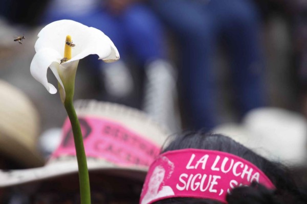 Piden que comisión extranjera investigue asesinato de Berta Cáceres