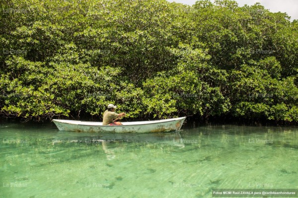 Ónice Flores muestra la joya escondida de Islas de la Bahía