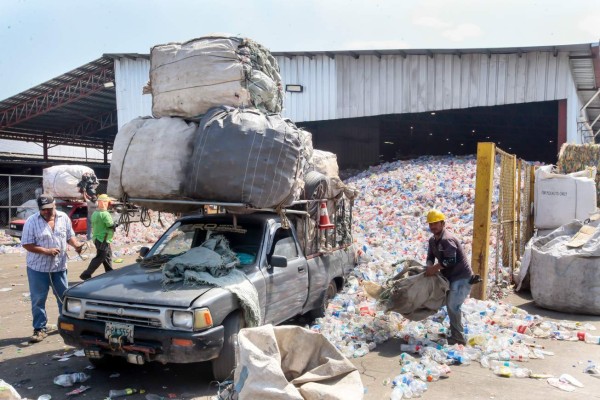 Reciclaje: 20,000 personas viven de recoger desechos en San Pedro Sula