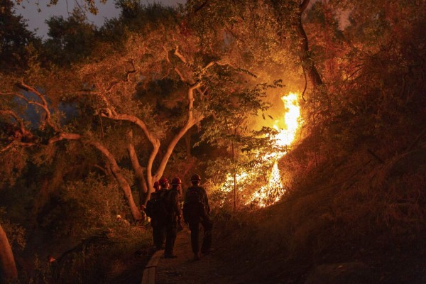 ARCADIA, CA - SEPTEMBER 13: Mill Creek Hotshots set a backfire to protect homes during the Bobcat Fire on September 13, 2020 in Arcadia, California. California wildfires that have already incinerated a record 2.3 million acres this year and are expected to continue till December. The Bobcat Fire, burning in the San Gabriel Mountains, has grown to about 32,000 acres and is only 6% contained. David McNew/Getty Images/AFP