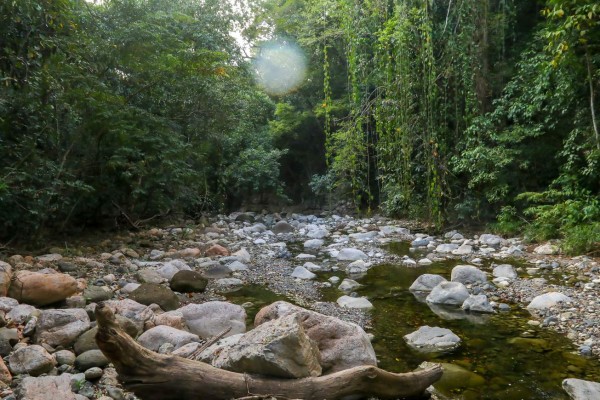 Potrerillos, la capital del merengue en Honduras