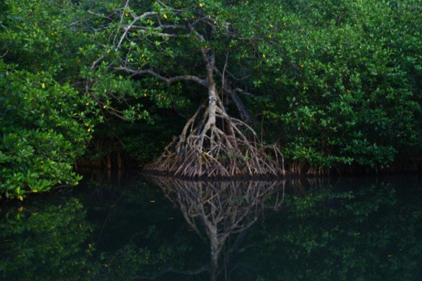 Trujillo, joya oculta del Caribe hondureño