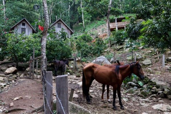 Hermosos parajes en San Antonio de Cortés