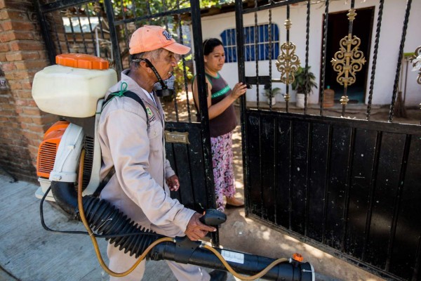 Peces, insecticidas naturales y mosquitos, armas de América Latina contra el zika