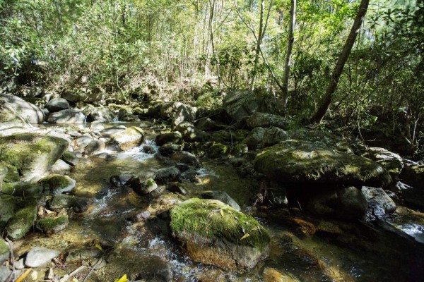 Parque Nacional Celaque, uno de los pulmones de oxígeno de Honduras