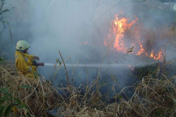 Más de 80 incendios impulsados por fuertes vientos en El Salvador   