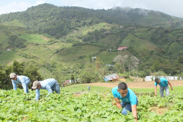 En el campo y en las aulas se forman nuevos agricultores