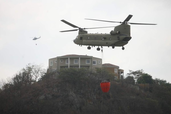 Ofrecen L250 mil de recompensa por responsables de incendio en El Picacho y El Hatillo 