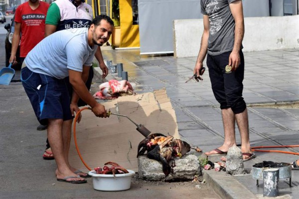 Durante fiesta en Marruecos sacrifican unos cuatro millones de carneros