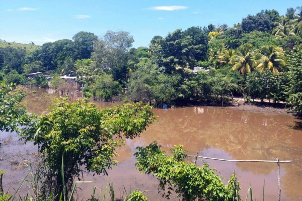 Desbordamientos de ríos arrasan cultivos en el norte de Honduras