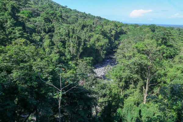 Pico bonito, el edén de La Ceiba