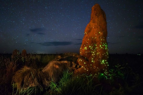 Premio a las mejores fotos de la naturaleza