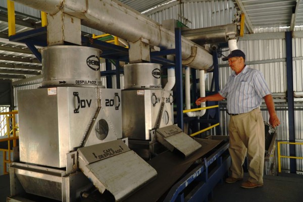 Abren nueva exportadora de café hondureño con una inversión de 40 millones de lempiras