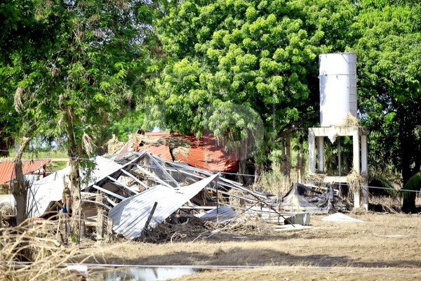 Foto: La Prensa