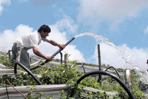 Solo 100,000 hectáreas de tierra funcionan con sistema de riego en Honduras