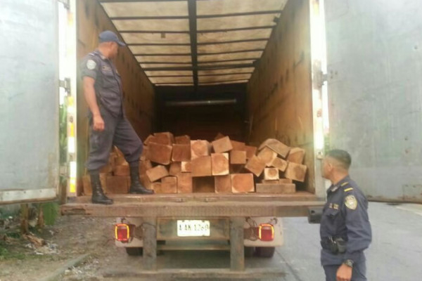 Detienen a pareja con más de 2,000 pies de madera ilegal