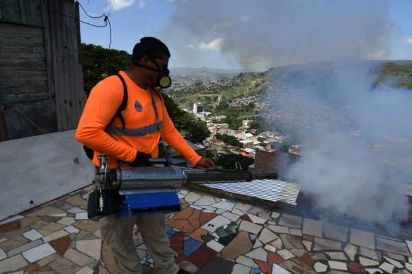 Honduras registra 155 personas muertas por dengue en 2019