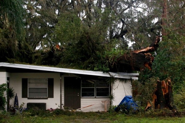 FORT MEADE, FL - SEPTEMBER 11: A large tree is seen laying on top of a home after high winds from Hurricane Irma came through the area on September 11, 2017 in Fort Meade, Florida. The Category 4 hurricane made landfall in the United States in the Florida Keys at 9:10 a.m. yesterday, after raking across the north coast of Cuba. Brian Blanco/Getty Images/AFP== FOR NEWSPAPERS, INTERNET, TELCOS & TELEVISION USE ONLY ==