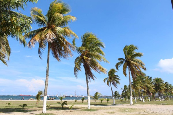 Puerto Cortés, listo para recibir a 600,000 turistas