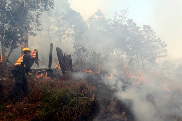 Ya van 2,500 hectáreas de bosque incendiadas