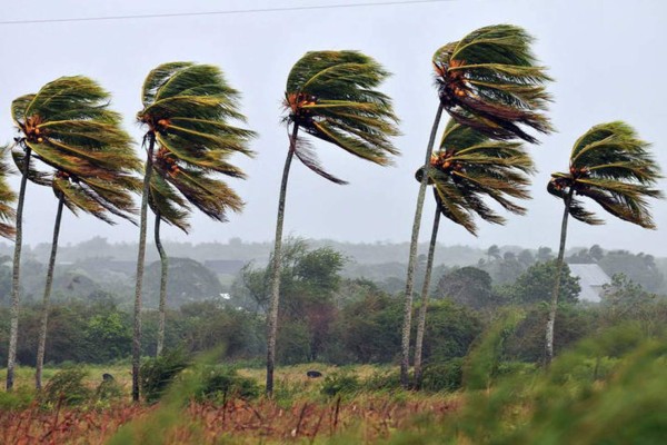 Fuertes vientos causan cuatro muertes en Centroamérica  