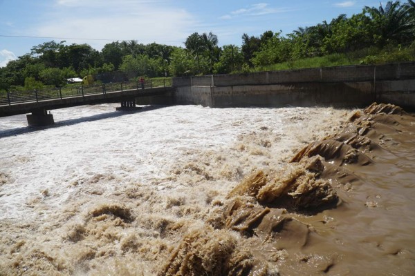 Más de 1,500 afectados por crecida del río Ulúa en el Ramal del Tigre