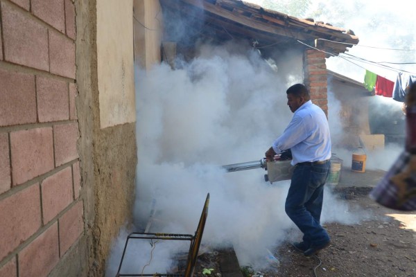 Educación reporta 5% de ausentismo por la enfermedad del chikungunya