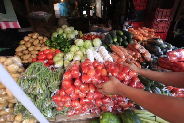 Sector agro genera más del 12% del PIB en la ciudad