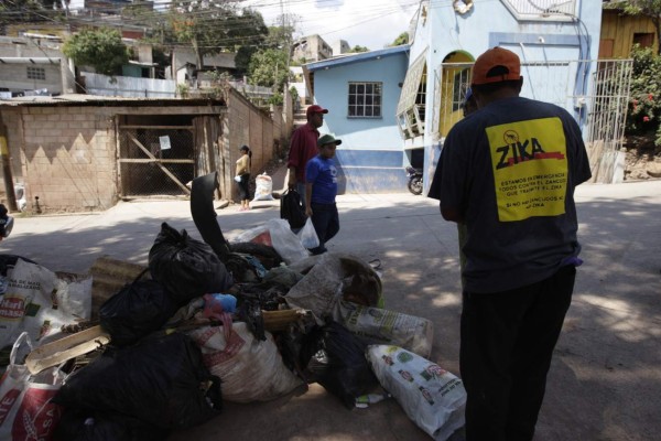 Zika, dengue y chikungunya tienen a más de 18,000 hondureños enfermos