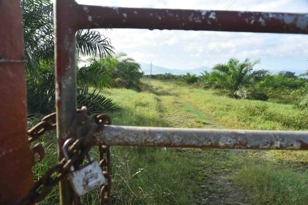 Propiedades de Cachiros serán puestas en subasta