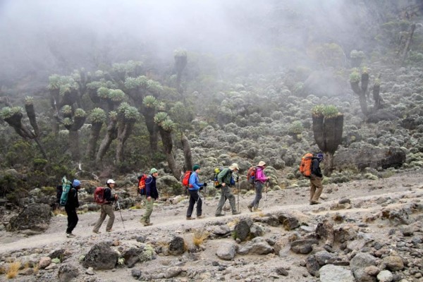 Roger Espinoza y su travesía de inicio de año en las montañas de Tanzania