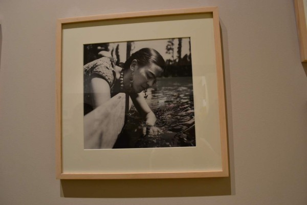 El museo de Frida Kahlo deslumbra en Coyoacán