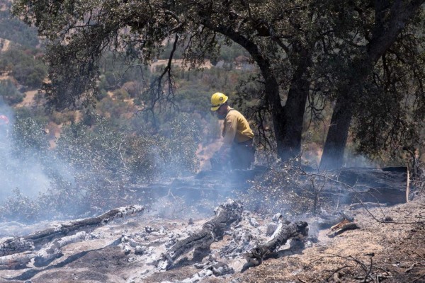 El mayor incendio de EEUU es tan grande que ya genera su propio clima