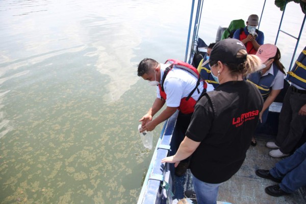 Fiscalía investiga denuncia de contaminación en el Lago de Yojoa