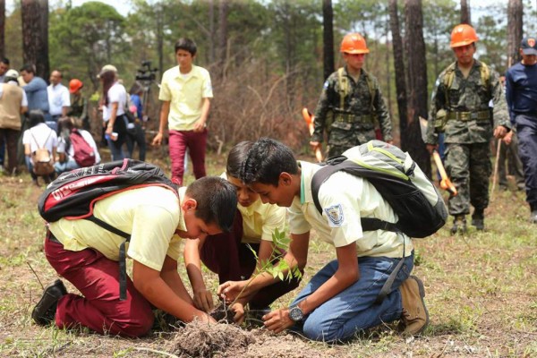 Honduras lanza campaña de reforestación