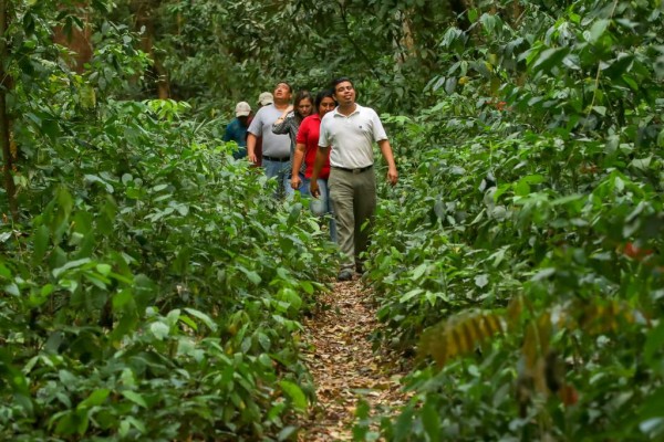 Centro Turístico El Guanal.En el lugar se puede disfrutar de senderismo, ya que son varios los kilómetros de recorrido que se necesitan para conocer la montaña que culmina en la aldea El Tule, donde finaliza la jurisdicción de Potrerillos.