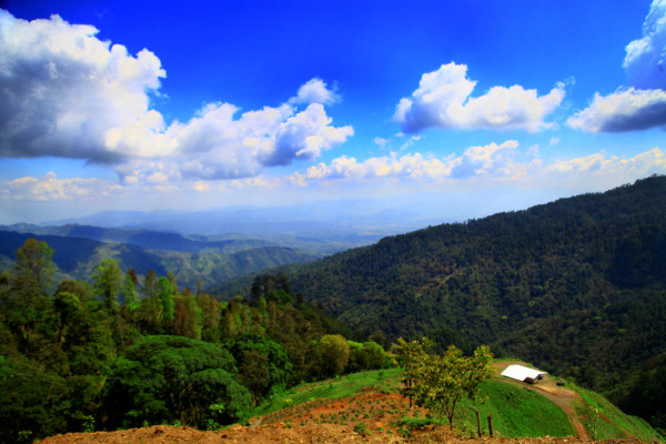 Explore el Cusuco, la joya natural que encuentra en El Merendón