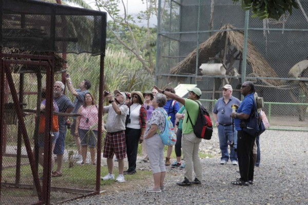 Más de 10,000 turistas visitaron Honduras en este 2014