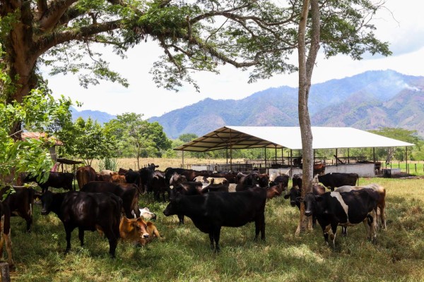 Morazán, sitio ideal para disfrutar del ecoturismo