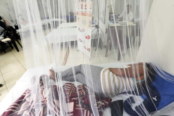 Se disparan a 148 los muertos por dengue este año en Honduras