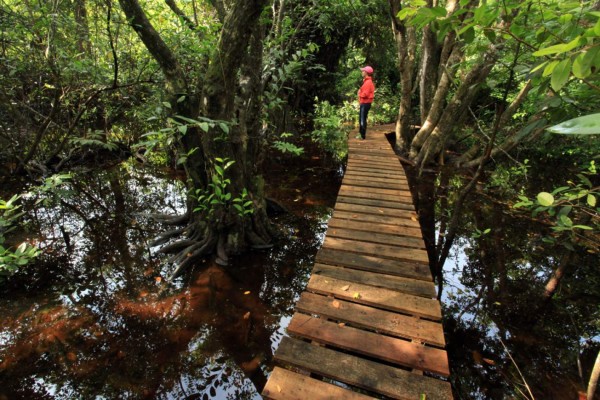 Un paseo por Cuero y Salado en el Caribe de Honduras