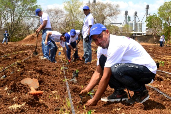 Walmart reitera compromiso con el sector agroindustrial