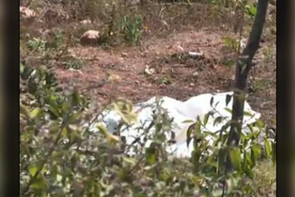 Asesinan a un hombre con un palo en Tegucigalpa