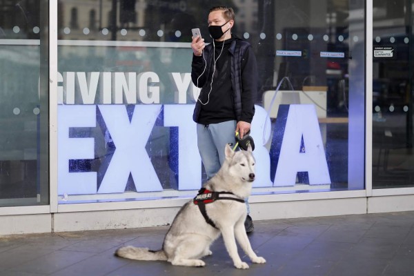 Reino Unido da luz verde a ensayos con perros para que detecten coronavirus