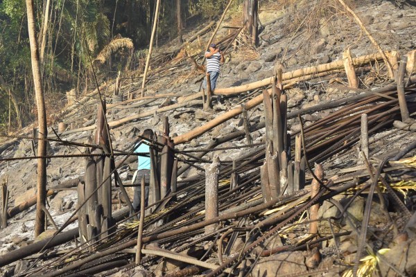 Investigan mano criminal en incendio en parque nacional de Atlántida