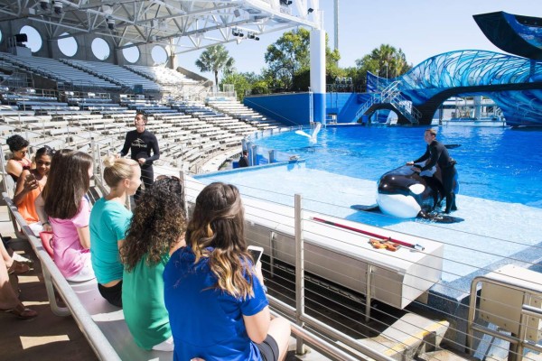 SHM33 - ORLANDO (FL, EE.UU.), 11/07/2017.- Fotografía cedida hoy, martes 11 de julio de 2017, por SeaWorld, en donde aparece un grupo de jóvenes escuchando a los entrenadores de una ballena orca previo a una demostración en el parque temático SeaWorld de Orlando, Florida (EE.UU.). La empresa de parques temáticos SeaWorld anunció hoy la creación de una nueva experiencia para sus visitantes brindándoles la posibilidad de un encuentro cercano con las orcas que todavía viven en sus tanques en Orlando. EFE/SeaWorld/SÓLO USO EDITORIAL/NO VENTAS