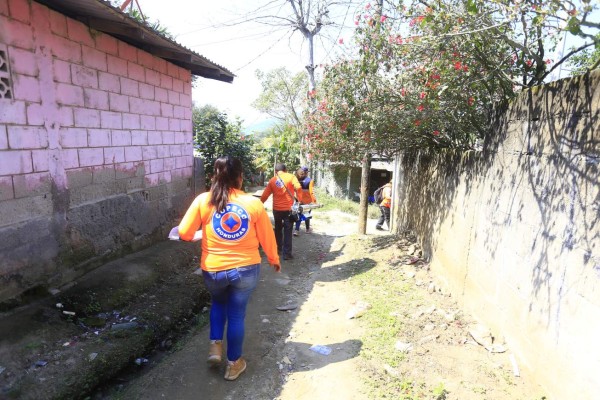 Nuevo larvicida será usado en regiones con más casos de dengue