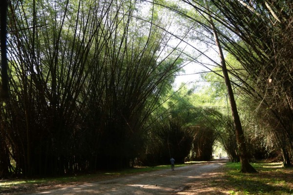 Atlántida, dueña de mares, ríos y lagunas